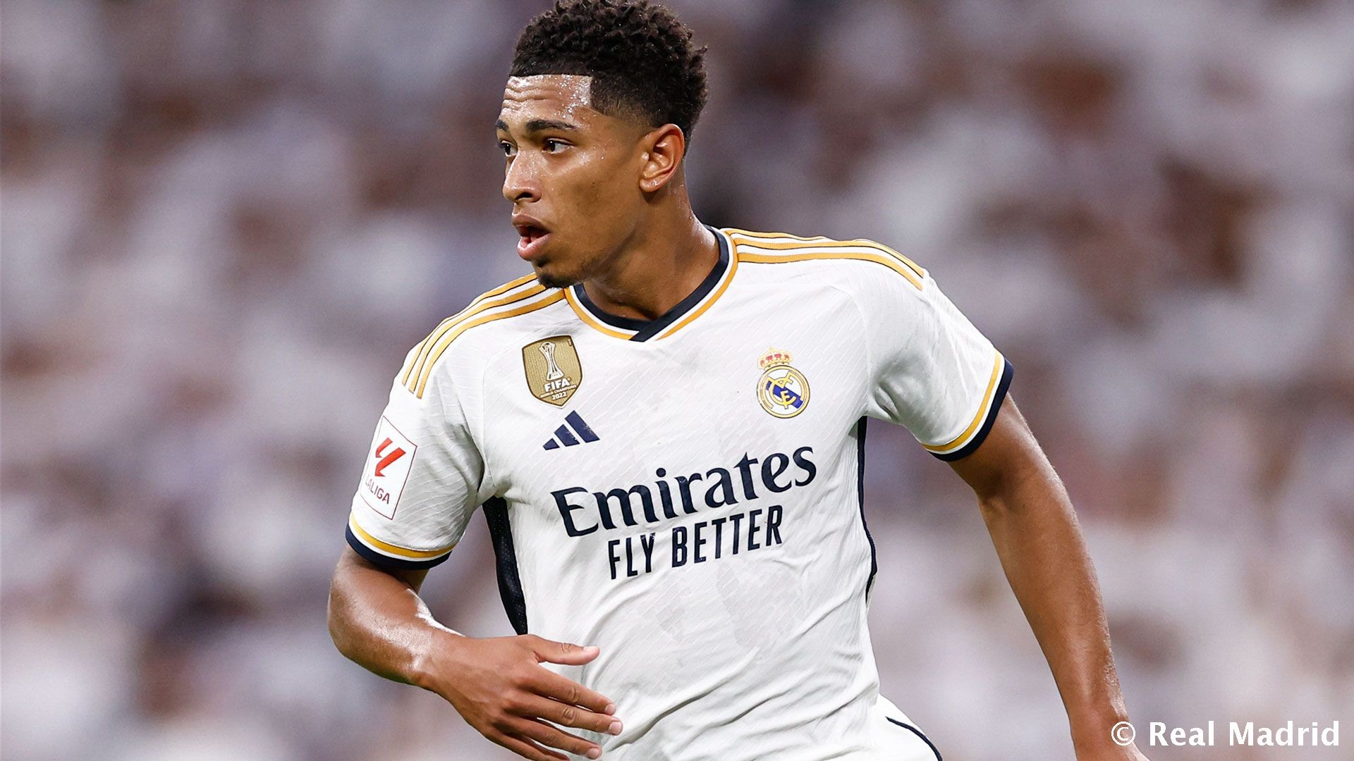 懂得肯定对 懂得肯定对